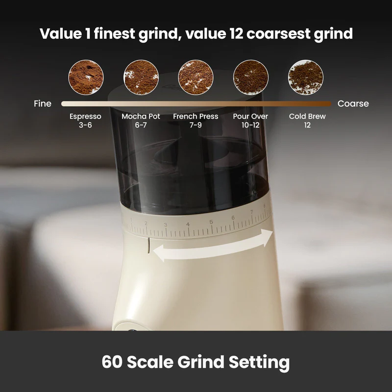 Molight G9010B Coffee Grinder - Image 3